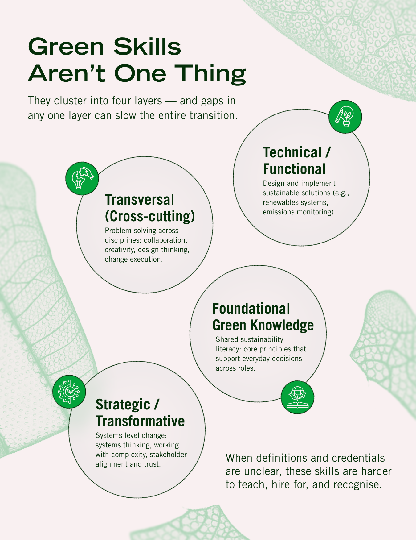 The Green Skills Gap: What’s Missing and How to Fix It | City Perspectives